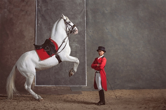 THE SOUTH AFRICAN LIPIZZANERS CLASSICAL PERFORMANCE